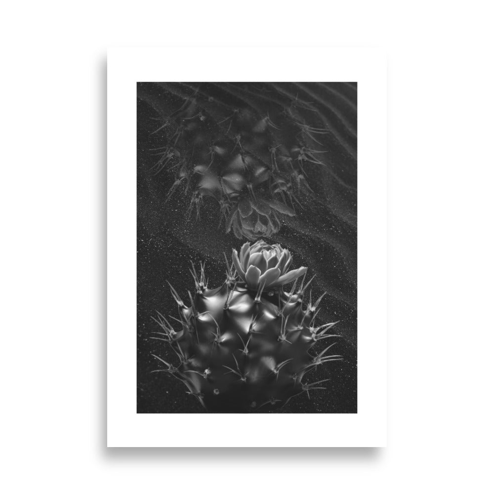 Succulent Symmetry II Art Print - Moody Black Cactus Variation on Sandy Sparkly Black Background