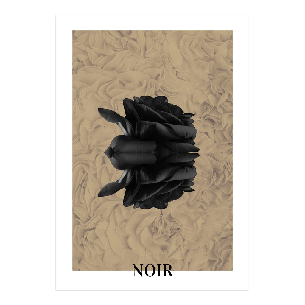 Noir Rose Art Print - Black Rose on Luxurious Beige Background